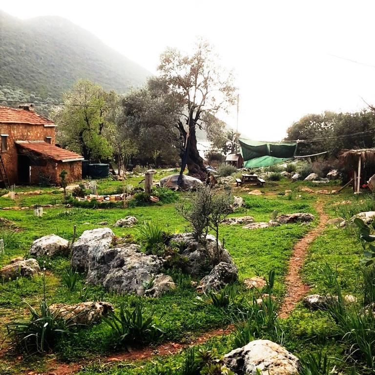 Hiker'S Inn-Purple House Kaleucagiz ภายนอก รูปภาพ